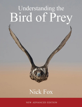 Understanding the Bird of Prey by Nick Fox, 554 Pages, 2022